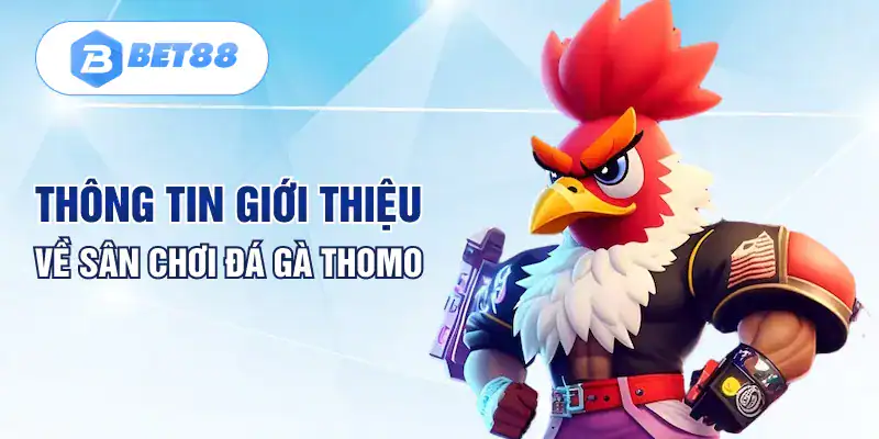 Thông tin giới thiệu về sân chơi đá gà Thomo Thông tin giới thiệu về sân chơi đá gà Thomo